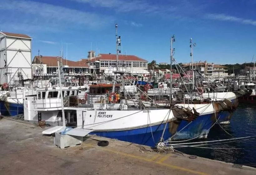 فندق Cape St Francis Resort