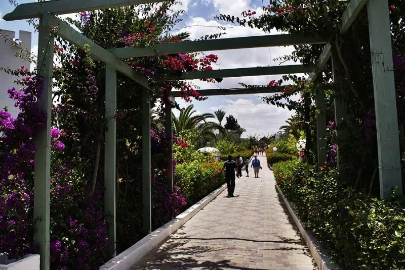 ホテル El Mouradi Club Selima