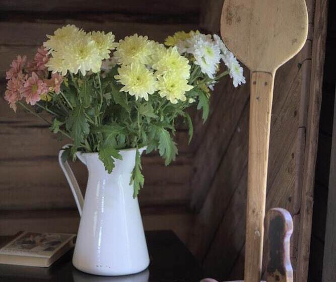 בית מלון כפרי Krapi