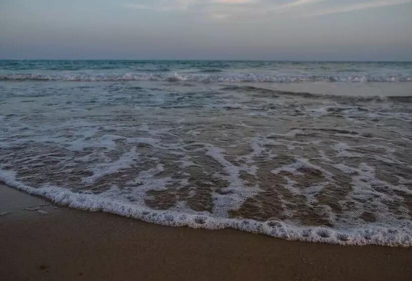 Otel Les Orangers Garden Villas And Bungalows Ultra All Inclusive