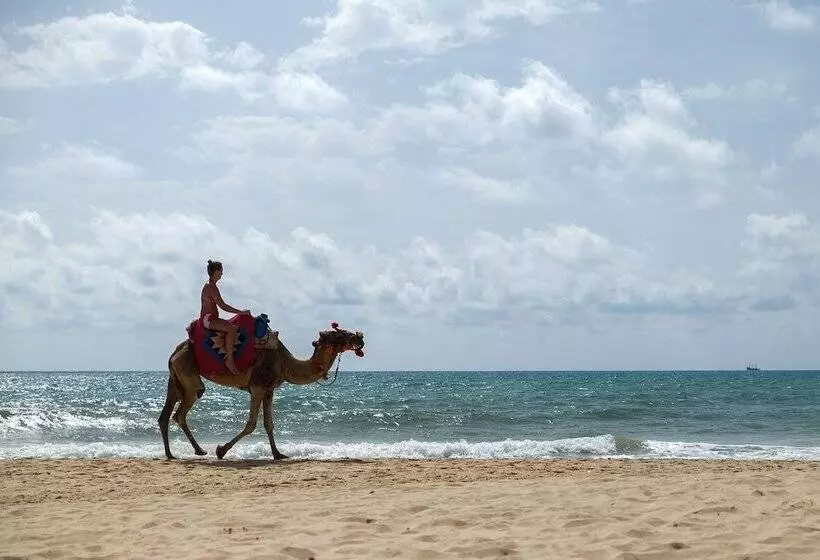 Otel Les Orangers Garden Villas And Bungalows Ultra All Inclusive