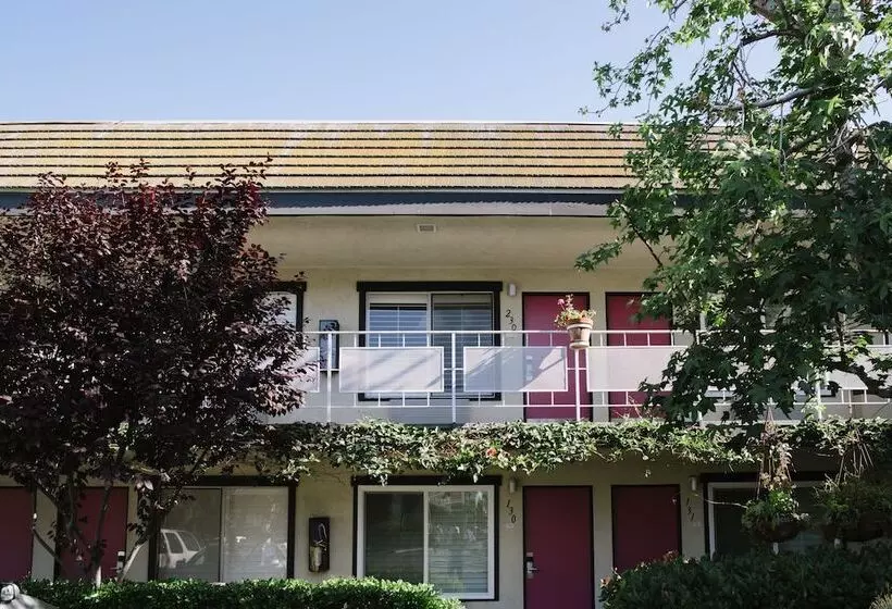 ホテル Alamo Inn And Suites  Convention Center