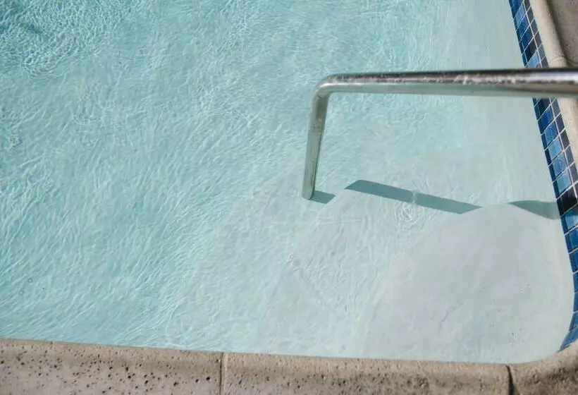 ホテル Alamo Inn And Suites  Convention Center