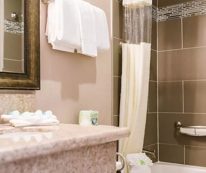 ホテル Alamo Inn And Suites  Convention Center