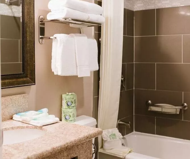 ホテル Alamo Inn And Suites  Convention Center