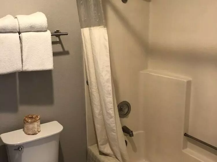 ホテル Alamo Inn And Suites  Convention Center