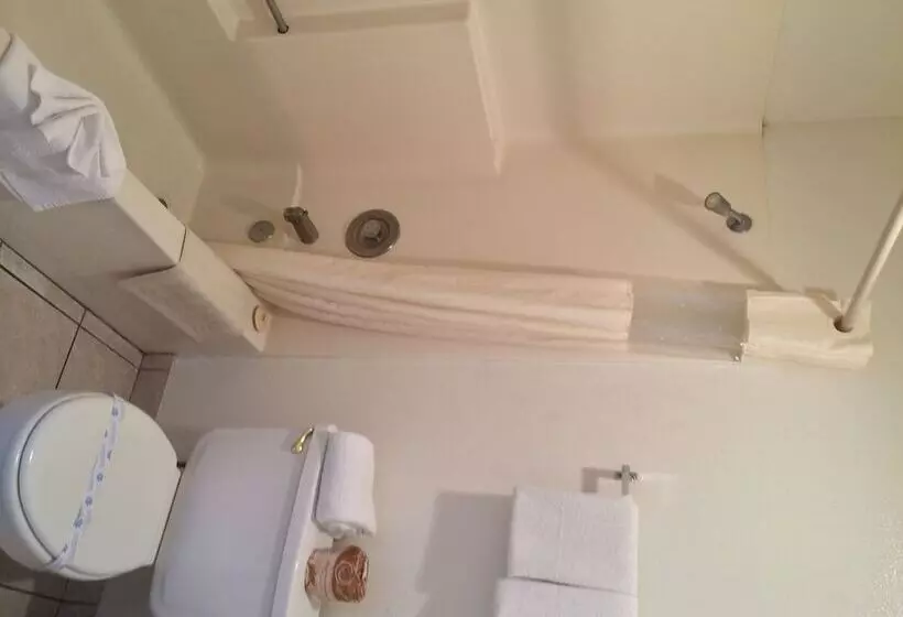 ホテル Alamo Inn And Suites  Convention Center