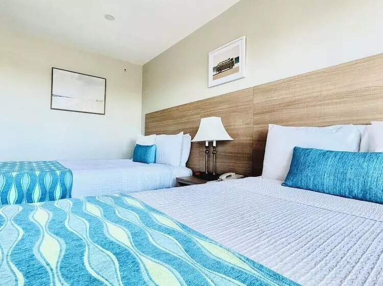 ホテル Alamo Inn And Suites  Convention Center