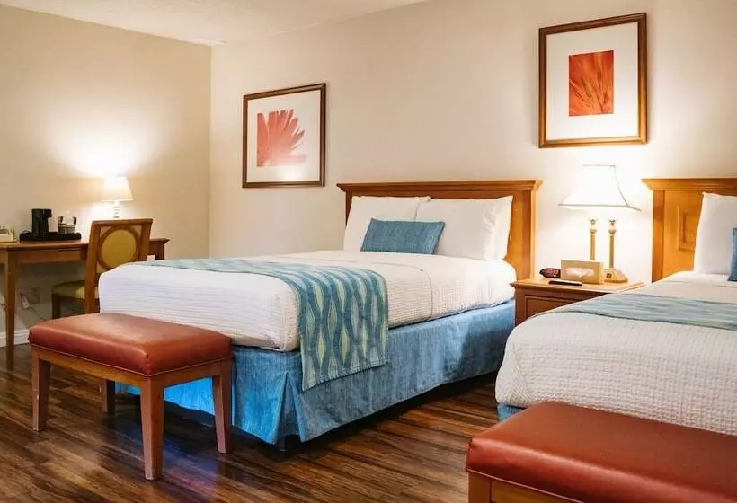 ホテル Alamo Inn And Suites  Convention Center