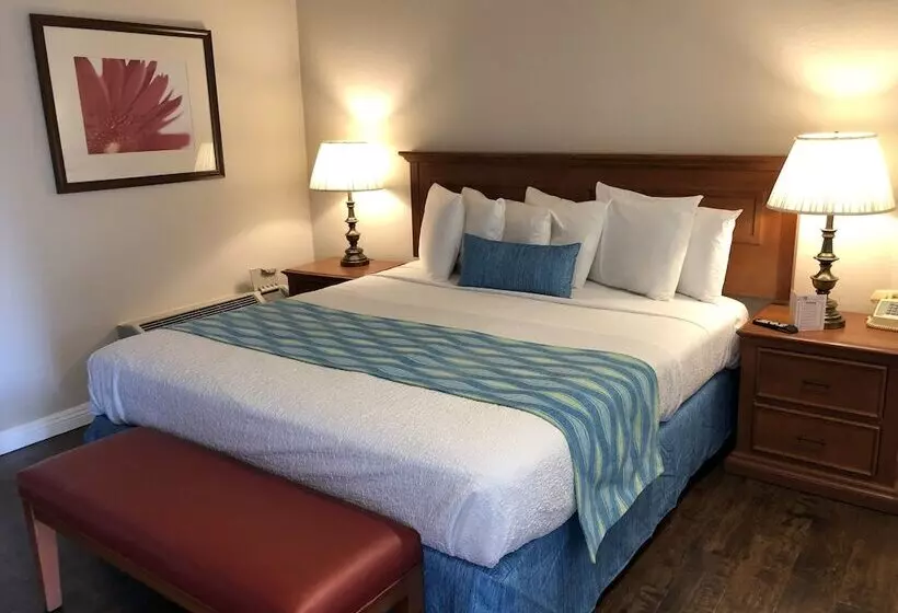 ホテル Alamo Inn And Suites  Convention Center