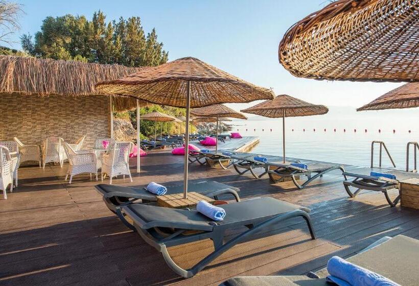 Altin Yunus Hotel & Spa çeşme