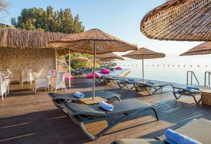 Altin Yunus Hotel & Spa çeşme