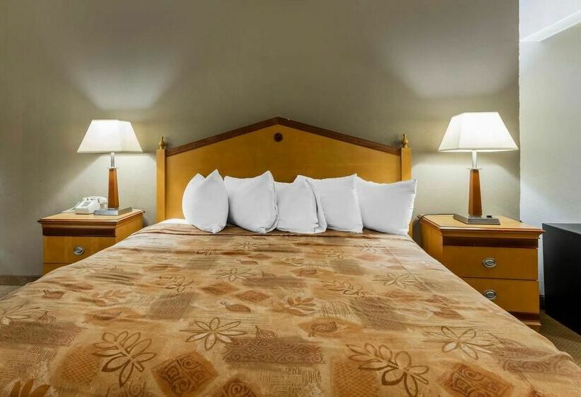 בית מלון כפרי Econo Lodge Inn and Suites Hot Springs