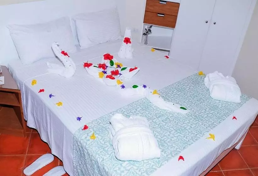 Hotelli Dahab Lagoon Club & Resort Ex Tirana Dahab