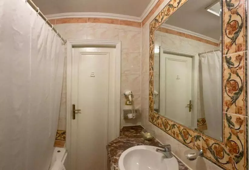 هتل Windsor Palace