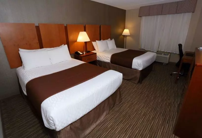 酒店 Best Western La Plata Inn