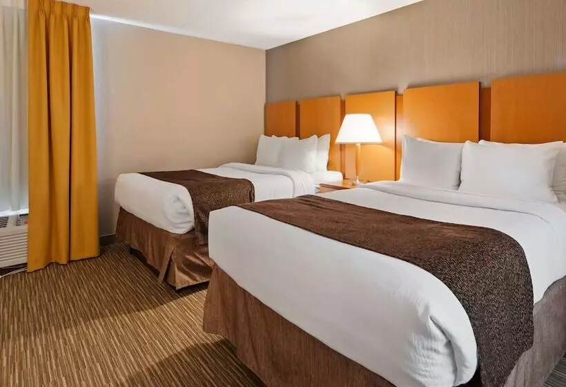 酒店 Best Western La Plata Inn