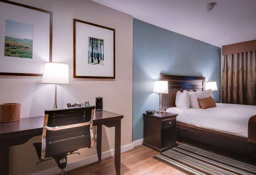 فندق Best Western At Ventura Pier