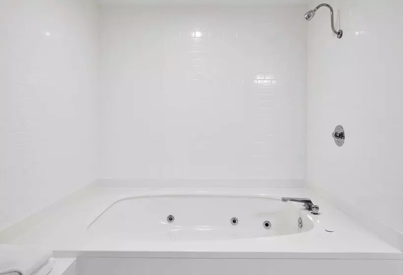 Best Western Plus Milwaukee Airport Hotel & Conference Center