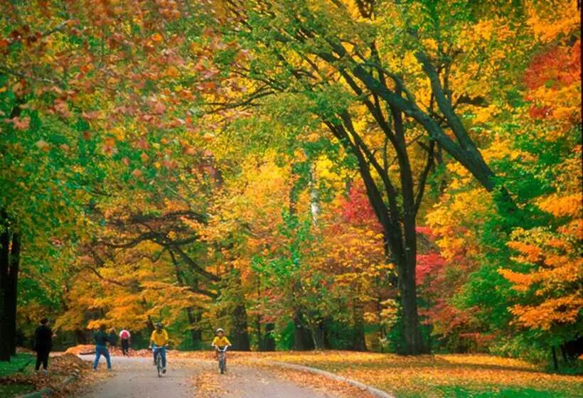 酒店 Best Western Premier Mariemont Inn