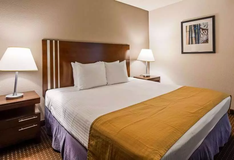 ホテル Best Western Yacht Harbor