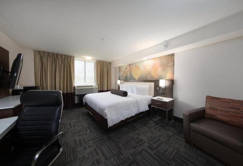 호텔 Holiday Inn Brookfield   Milwaukee, An Ihg