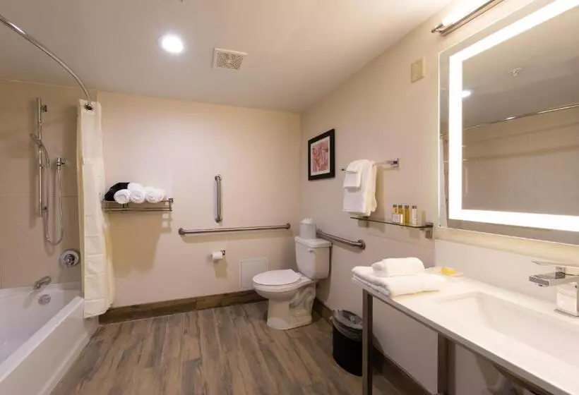 فندق Holiday Inn Brookfield Milwaukee, An Ihg