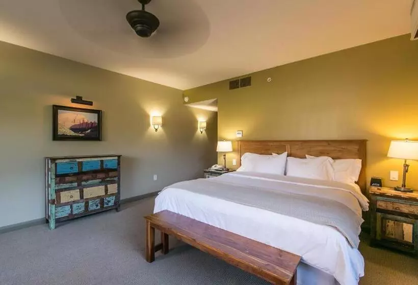 בית מלון כפרי Driftwood Lodge