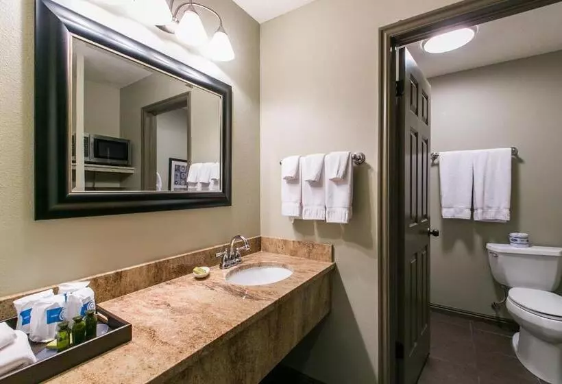 בית מלון כפרי Driftwood Lodge