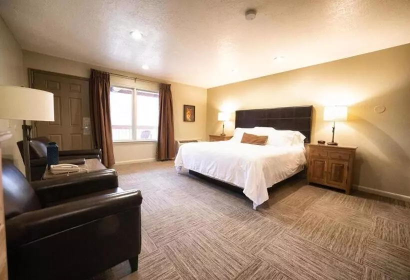 בית מלון כפרי Driftwood Lodge