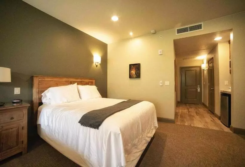 בית מלון כפרי Driftwood Lodge