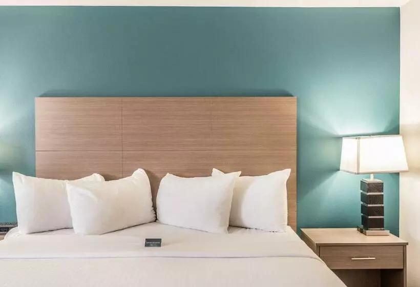 Hotel Everspring Inn And Suites