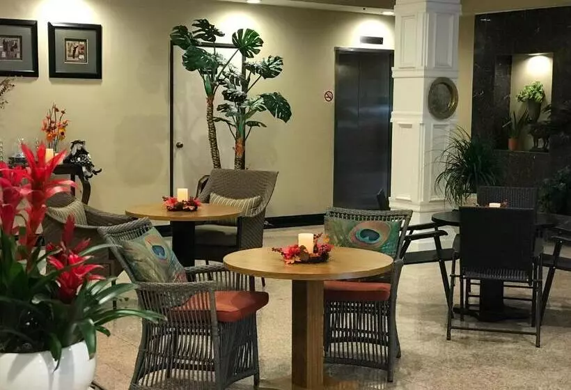 בית מלון כפרי Greentree Inn & Suites Los Angeles   Alhambra   Pasadena