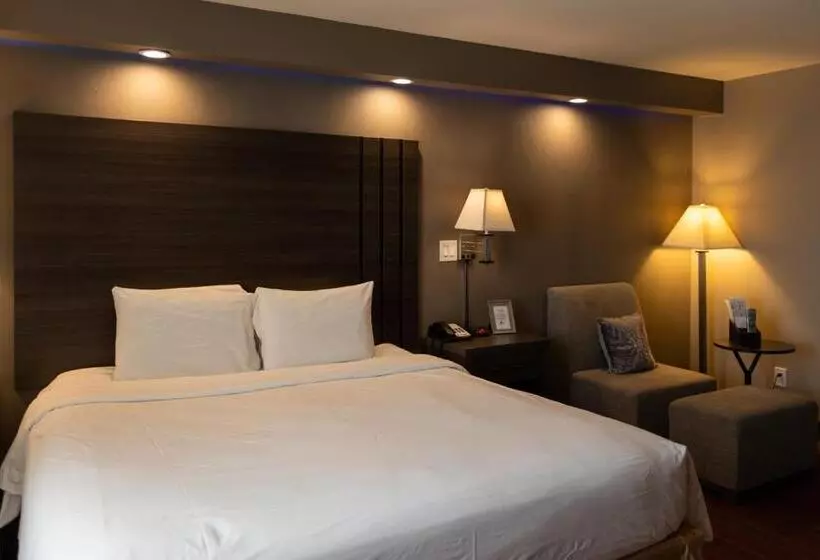 בית מלון כפרי Greentree Inn & Suites Los Angeles   Alhambra   Pasadena