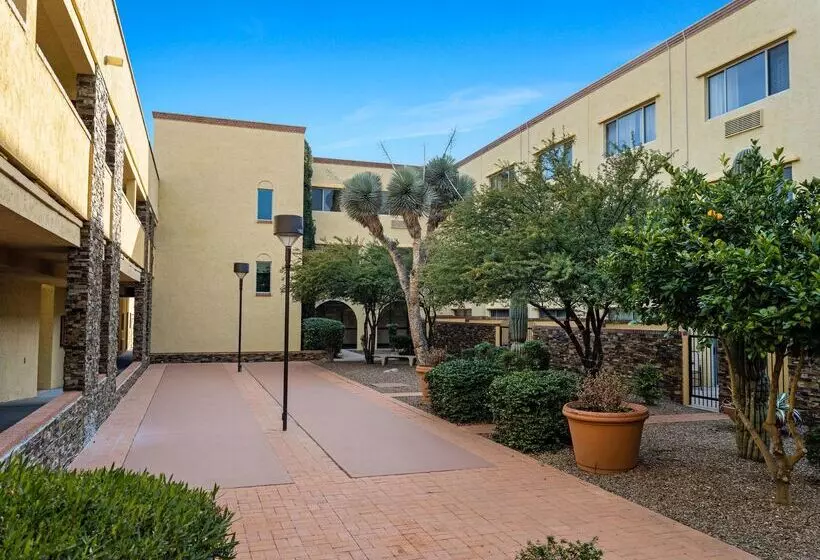 فندق La Quinta By Wyndham Tucson Reid Park
