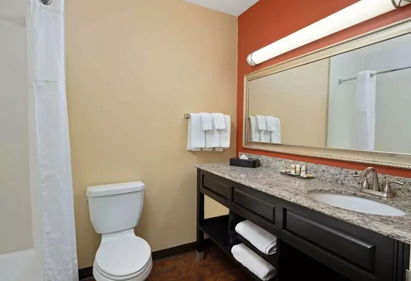 فندق La Quinta By Wyndham Tucson Reid Park