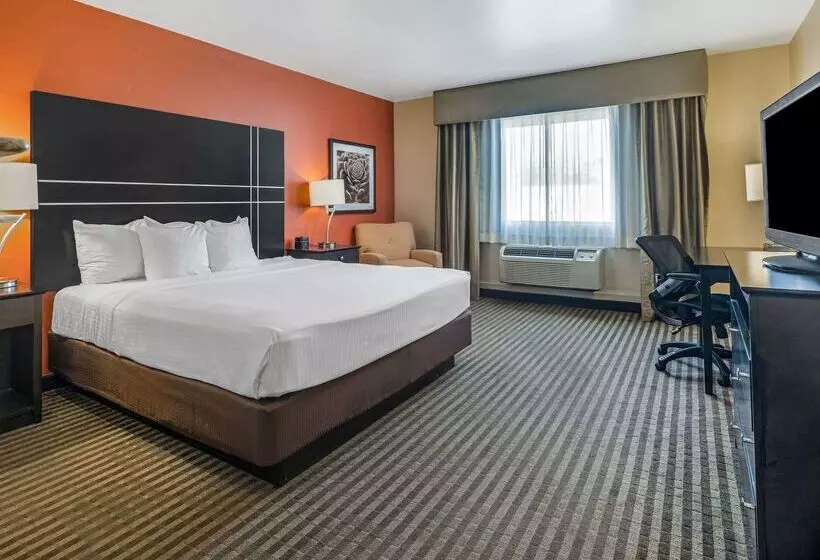 فندق La Quinta By Wyndham Tucson Reid Park