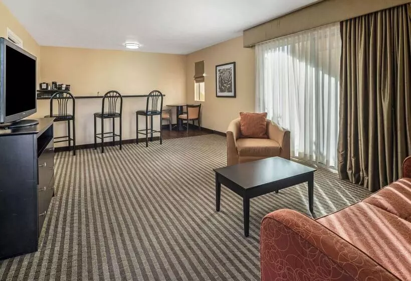 فندق La Quinta By Wyndham Tucson Reid Park