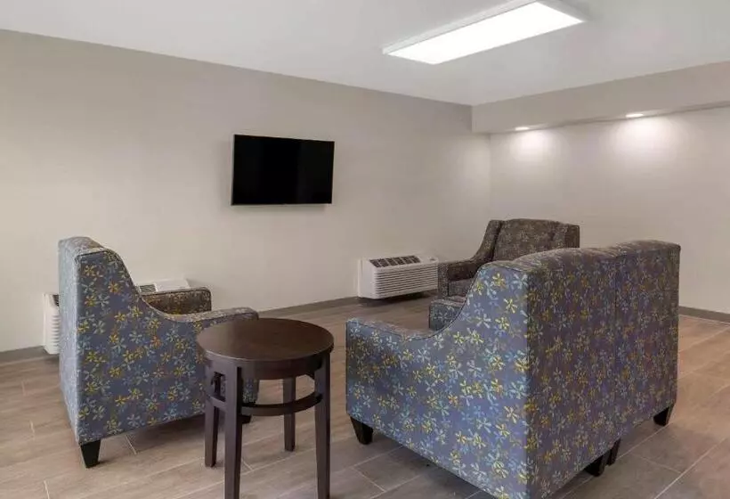 호텔 Quality Inn Saint Petersburg Northtampa Bay