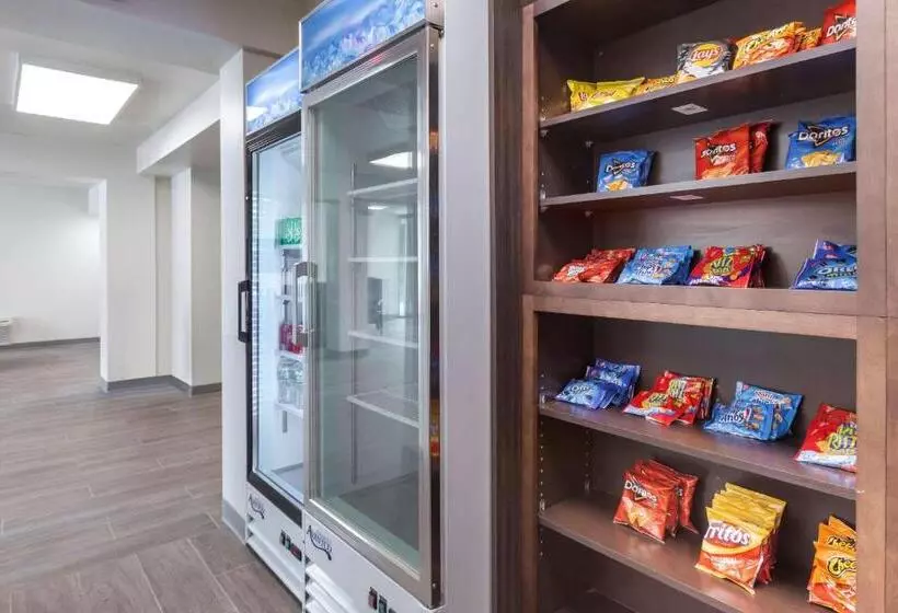 호텔 Quality Inn Saint Petersburg Northtampa Bay