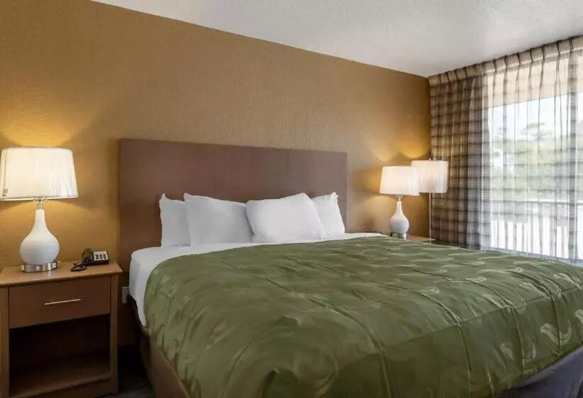 호텔 Quality Inn Saint Petersburg Northtampa Bay