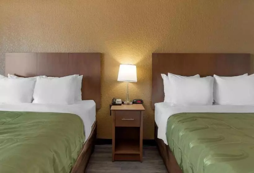 호텔 Quality Inn Saint Petersburg Northtampa Bay