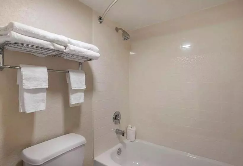 호텔 Quality Inn Saint Petersburg Northtampa Bay