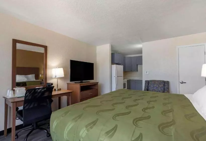 호텔 Quality Inn Saint Petersburg Northtampa Bay
