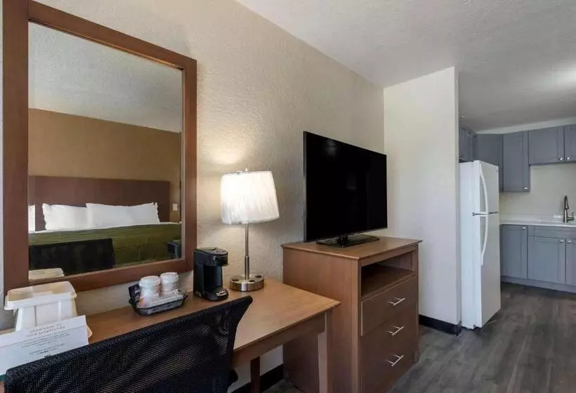 호텔 Quality Inn Saint Petersburg Northtampa Bay