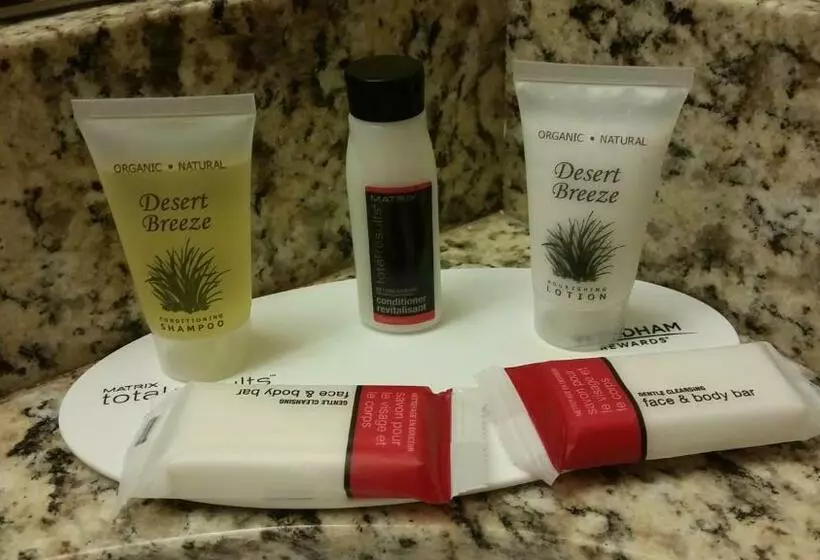 리조트 Dobson Ranch Inn And Suites