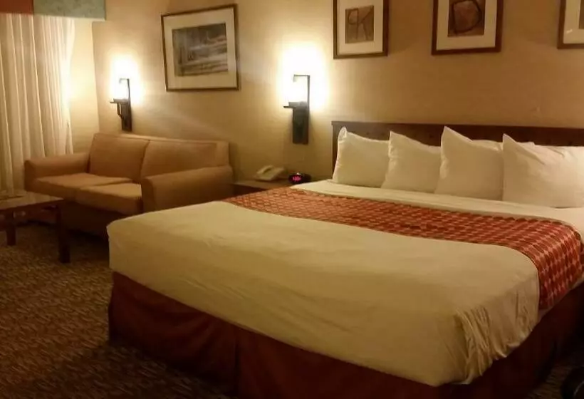 리조트 Dobson Ranch Inn And Suites