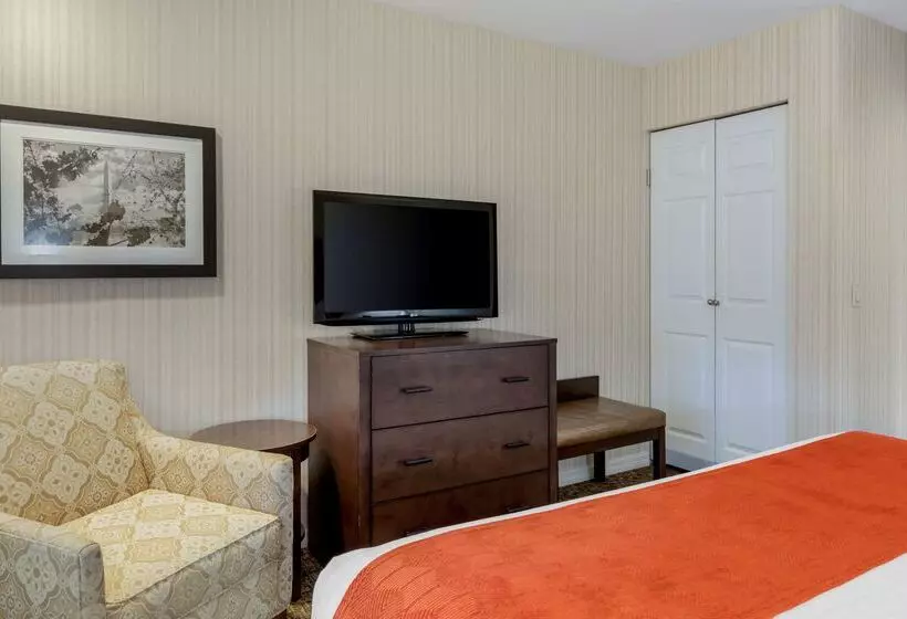 호텔 Best Western Plus Big America