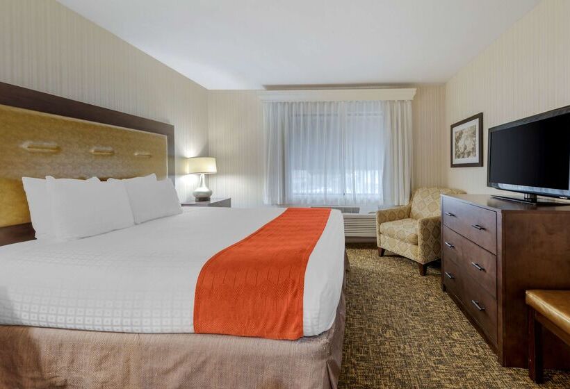 هتل Best Western Plus Big America