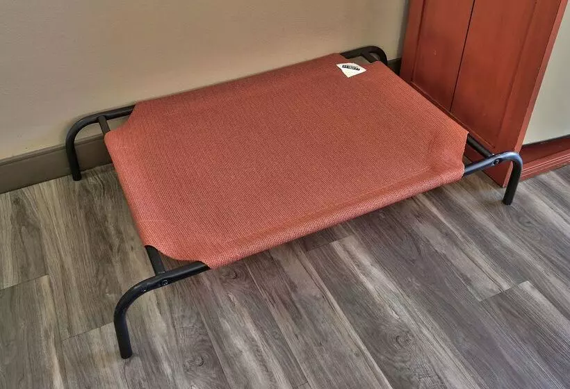 Отель Best Western Plus Rio Grande Inn